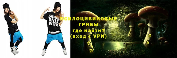 apvp Видное