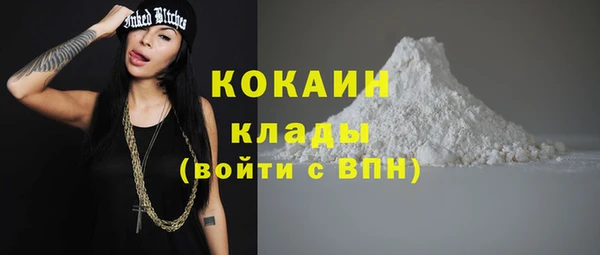 МДПВ Бронницы