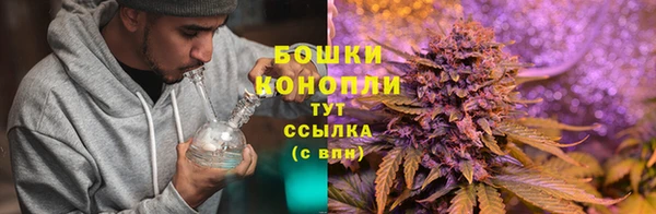 каннабис Бородино