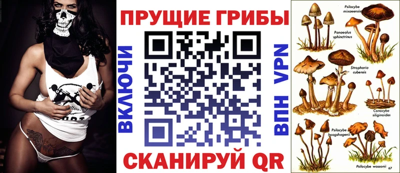Псилоцибиновые грибы ЛСД  даркнет сайт  KRAKEN как зайти  Городец 