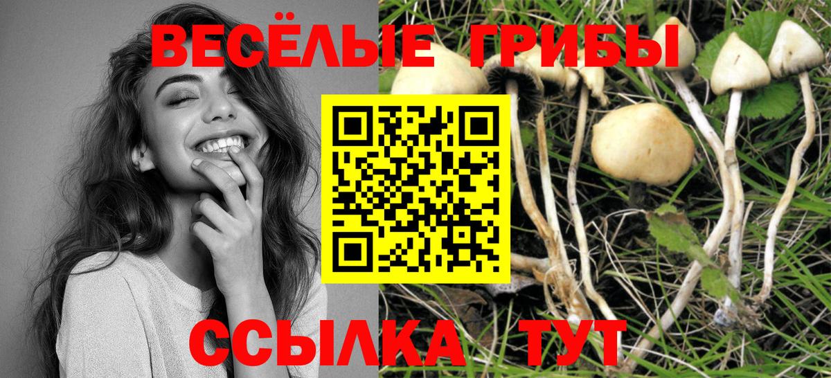 цена   Псилоцибиновые грибы мухоморы  Вход с VPN  Городец 